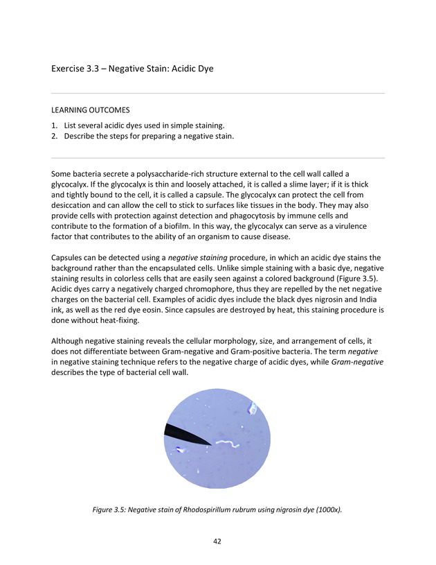 Microbiology Module 3: Staining - New Page